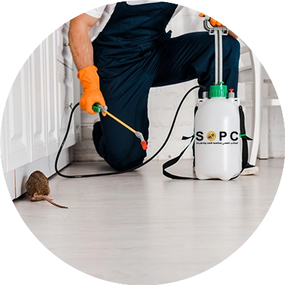 rodent control worker approaches a brown rat