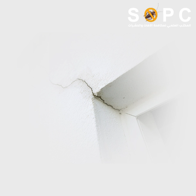 a crack in the outer door frame serves as an ideal entry point for ant colonies to invade your home or workplace