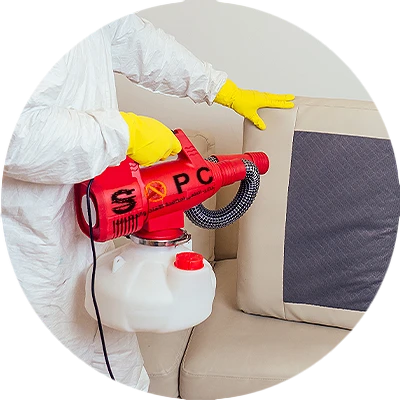 a pest control technician in uniform sprays insecticide under the sofa in the living room to eliminate pests such as ants