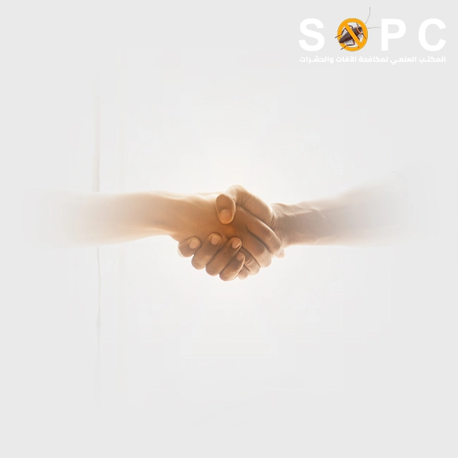 men shaking hands as if they have successfully completed an ant control mission in Cairo