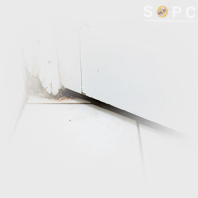 openings in the exterior door frame are an ideal entry point for cockroach colonies into your home or workplace.