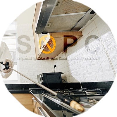 Professional Pest Technician Applying Spray in Home Kitchen Area